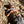 Load image into Gallery viewer, Decaf
