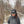 Load image into Gallery viewer, Limited Edition Rock Canyon Hats