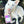 Load image into Gallery viewer, White dog with coffee bag on paws
