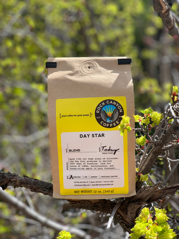day star rock canyon coffee bag sitting in a tree in a spring seasonal setting
